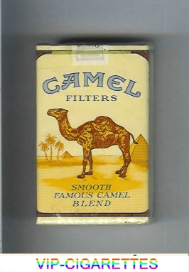 Camel Filters cigarettes soft box king size